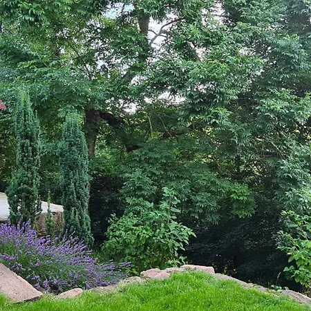 Neu 2023! Wasserkuppe Whirlpool U. Sauna Apartmán