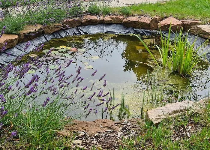 Neu 2023! Wasserkuppe Whirlpool U. Sauna