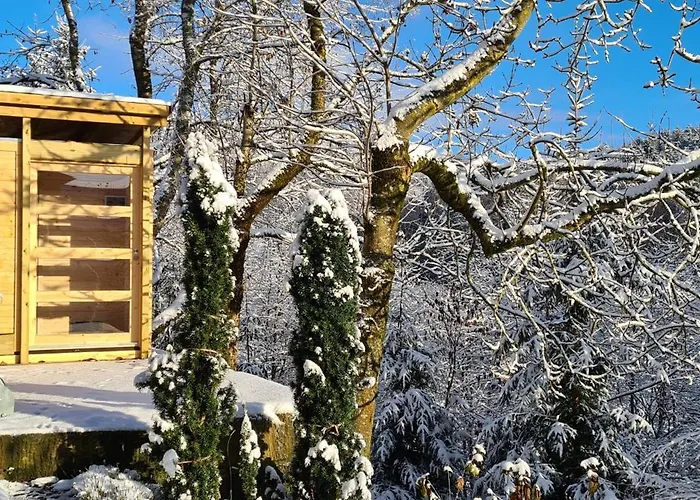 아파트 Neu 2023! Wasserkuppe Whirlpool U. Sauna *