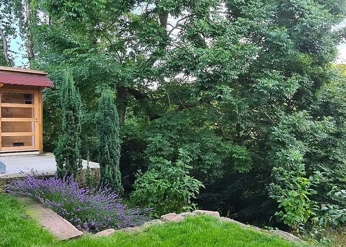 Neu 2023! Wasserkuppe Whirlpool U. Sauna 아파트